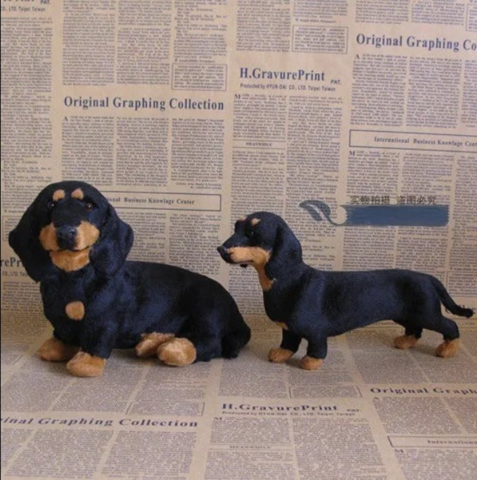 🐶 The Dachys – Guérison émotionnelle à la demande