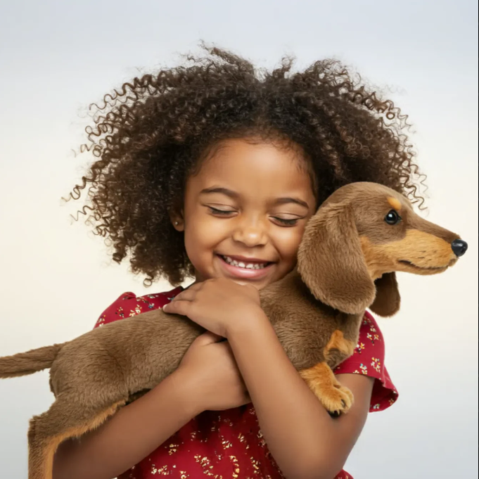 🐶 The Dachys – Guérison émotionnelle à la demande