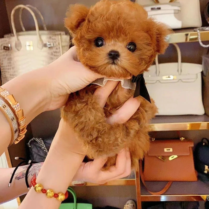 Realistický plyšový robotický pejsek, který běhá a skáče, nejlepší společník pro děti, ideální dárek pro vaše dítě!