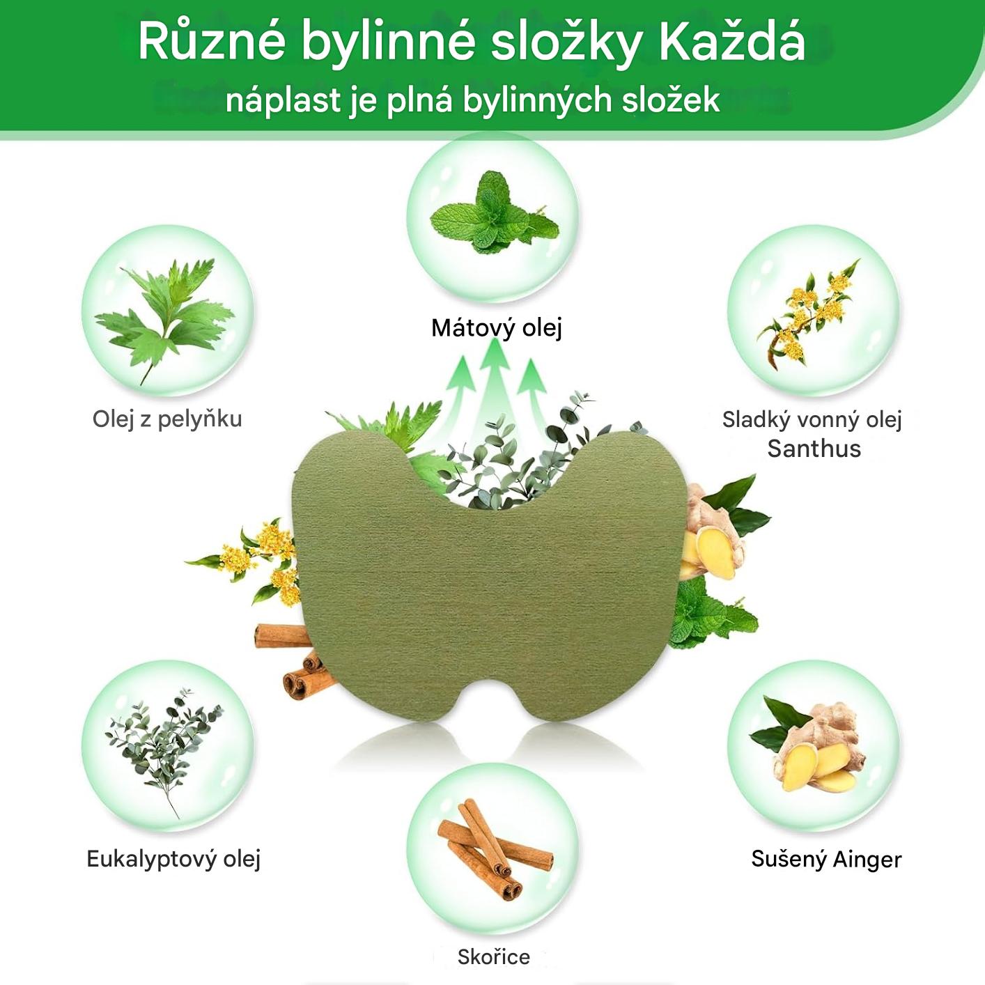 Telinala — bylinné náplasti proti bolesti, vyvinuté německými lékárníky speciálně pro seniory s bolestmi ramen, nohou a zad!🌿🌿