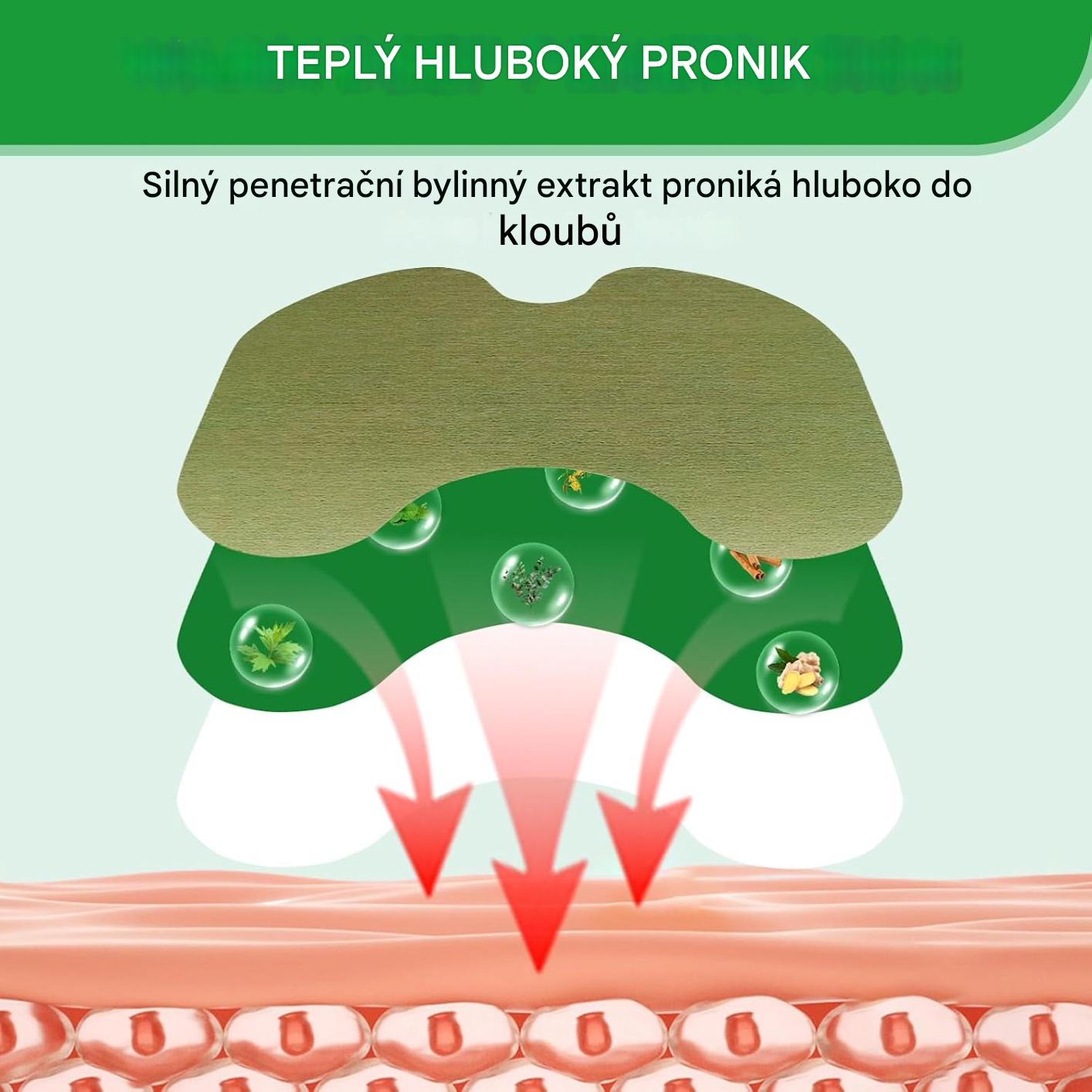 Telinala — bylinné náplasti proti bolesti, vyvinuté německými lékárníky speciálně pro seniory s bolestmi ramen, nohou a zad!🌿🌿